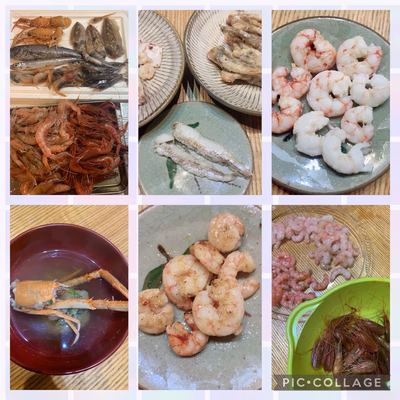 みんなの投稿の画像