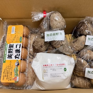 【詰め合わせセット】無農薬コシヒカリ 白米 5kg里芋1.5kg無農薬白米粉