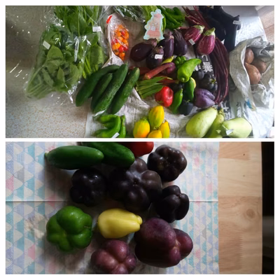 みんなの投稿の画像