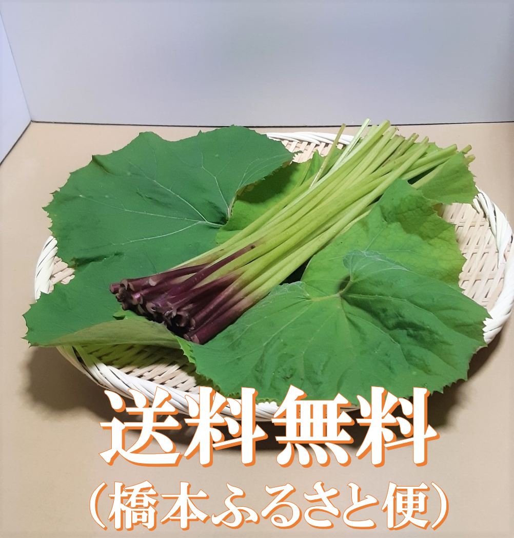 【特大量】 ふき フキ 新鮮 自然 10kg 楽天市場】ふき（総重量（野菜）300 ～ 499g）（野菜・きのこ