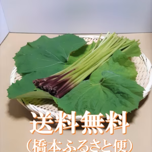 里山の香り　山蕗(ふき）数量限定販売　谷奥深産