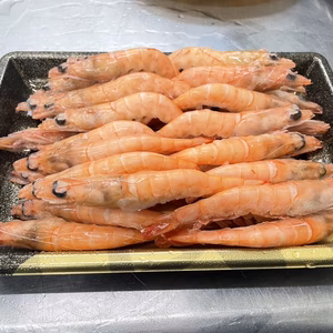 プリプリ大トロ海老ミソ満タン『幻の生タカエビ』業界初パウダースノー冷凍10月発送