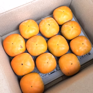 【サイズミックス】甘くて濃い「おけさ柿」少々傷ありほぼ器量よし、贈り物にも