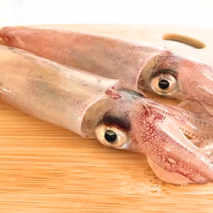 【朝絞めを送ります】ヤリイカ 一本釣り 朝〆 イカ 玄界灘 一本槍