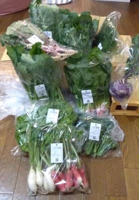 みんなの投稿の画像