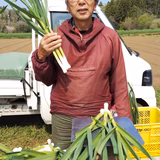 塚本 敏富美 | 塚本農園