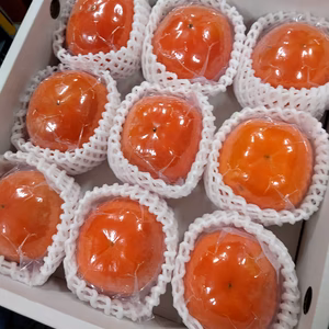 国城観光農園の富有柿(送料無料)２Ｌサイズ９個入り（真空包装）