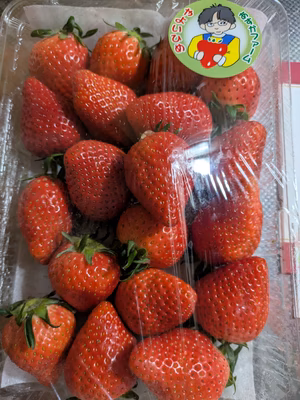 みんなの投稿の画像