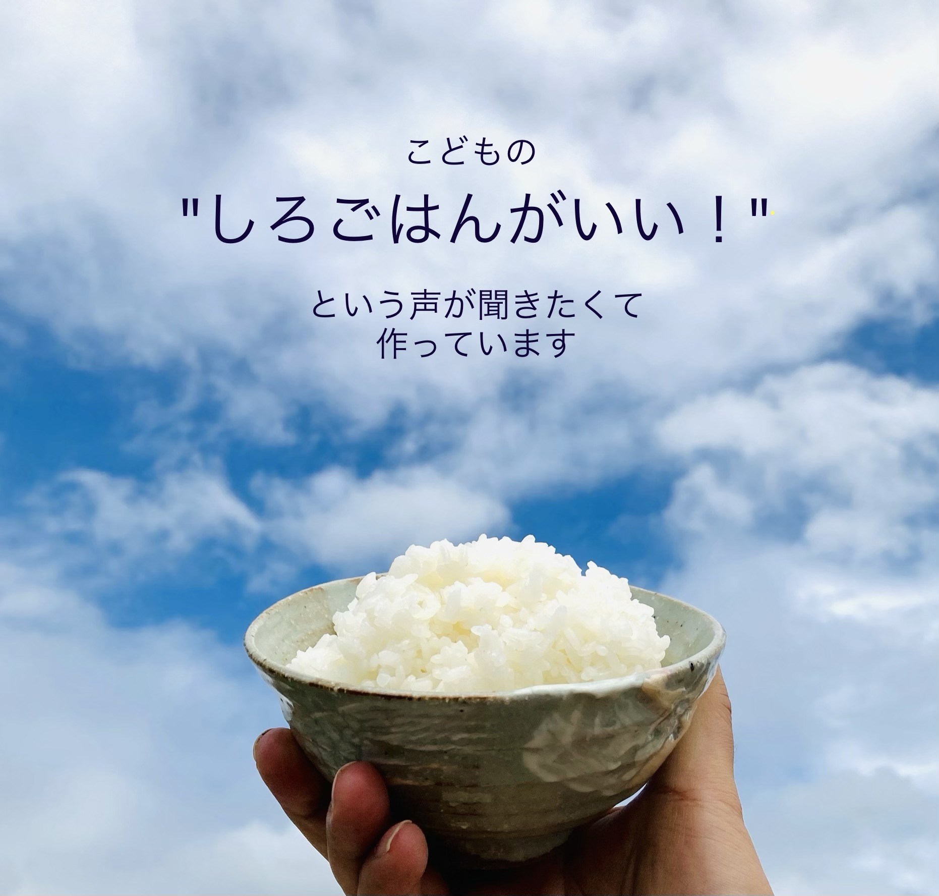 令和5年度淡路島産コシヒカリ｜米・穀類の商品詳細｜ポケットマルシェ