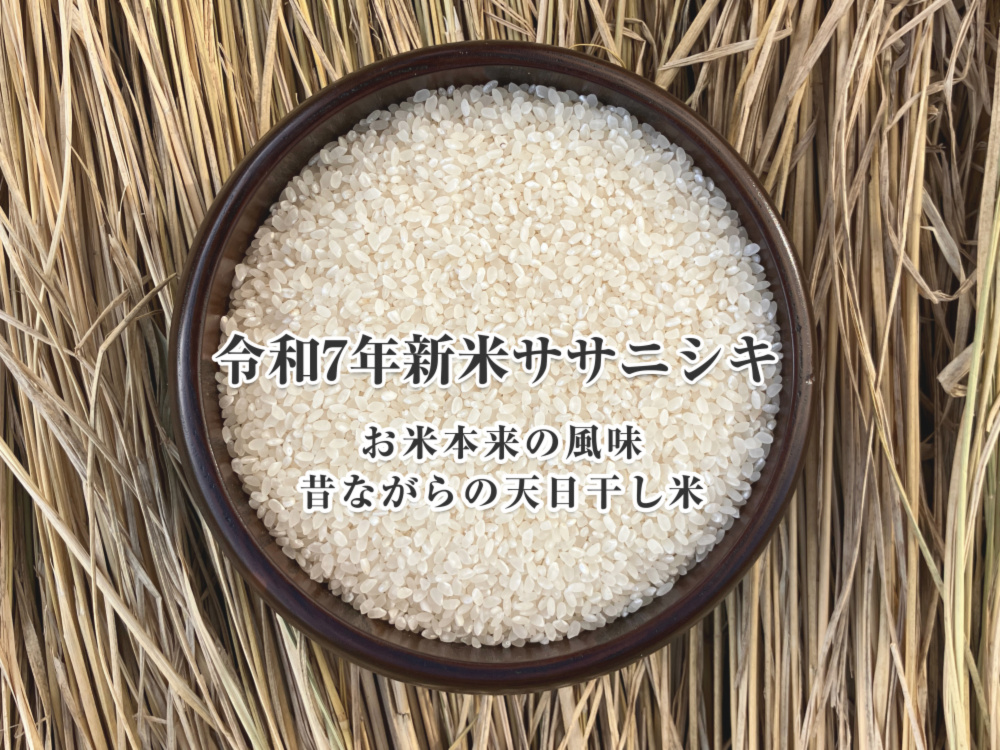 令和6年 ササニシキ10kg玄米 自然栽培米