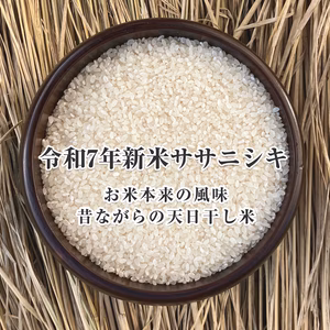 令和7年 新米 ササニシキ 白米 10Kg 稲架掛米（天日干し）予約販売