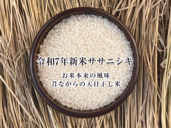 新米2025｜岩手花巻産 ササニシキ 白米10kg｜天日干し限定米