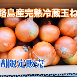 淡路島玉ねぎ　完熟冷蔵　秀品