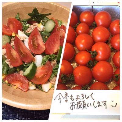 みんなの投稿の画像