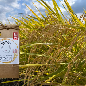 ✨令和７年産新米✨ﾌﾟﾚﾐｱﾑｸｵﾘﾃｨ認定10㎏(白米)｢ひめの凜｣一等米