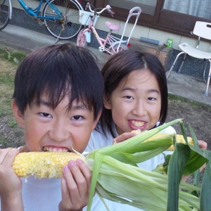 コロナに負けないぞ！安西農園の生食出来て甘いトウモロコシ味来プレミアム！