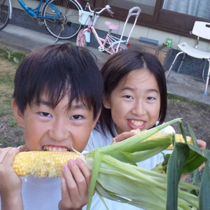 クール便にて！訳ありM.L安西農園の生食で甘いトウモロコシ味来。アウトレット 
