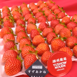 朝採れ当日発送！35玉2パック！夏秋いちご　青森県産　すずあかね　苺　夏いちご