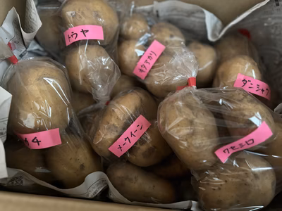 みんなの投稿の画像