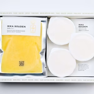 マスクメロンのピューレ3袋と高知のバニラアイス3個