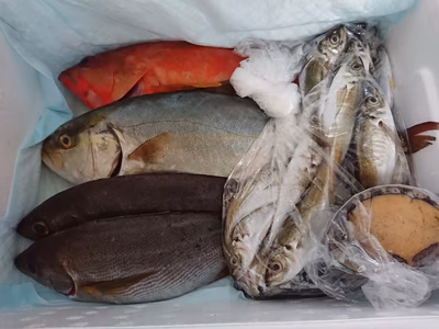 みんなの投稿の画像