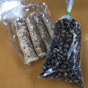 【(零余子好きさん向け)セット商品】真空パックの自然薯Lと、ムカゴMのセット