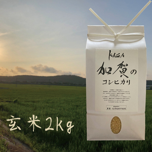 【農薬・化学肥料不使用】令和2年産-加賀のコシヒカリ玄米2㎏