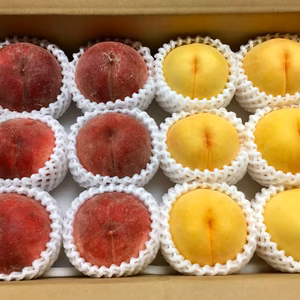 縁起桃　黄金桃と桃　詰め合わせ　４ｋｇ　※傷あり　家庭用　