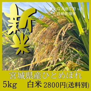 【自然乾燥米】宮城県産ひとめぼれ 白米 5kg