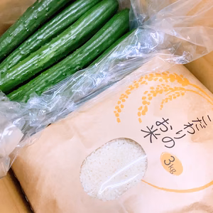 朝採りまっすぐきゅうりと甘く美味しいコシヒカリセット