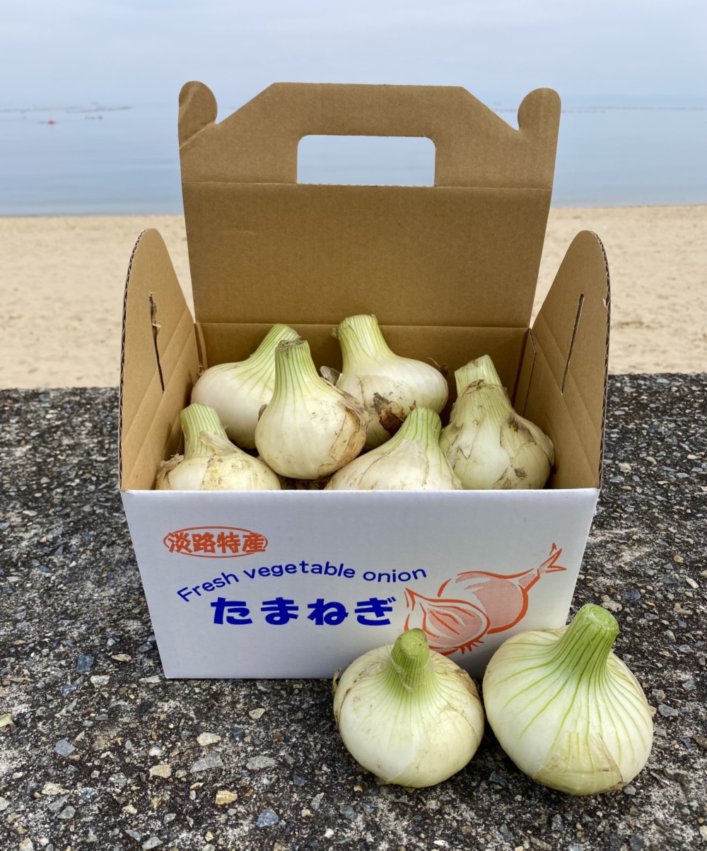 BIGセール＞淡路島産新玉ねぎ 3kg×2箱 新たまねぎ 新玉葱 新タマネギ