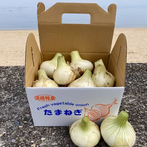 好評のため数量限定✨淡路島新玉ねぎ3kg
