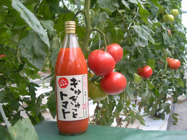 【9/24 ・25大崎マルシェ現地受取】有機トマト100％「ぎゅぎゅっとトマト」