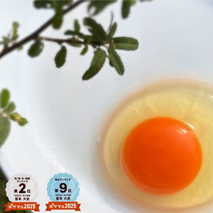 ‼️３/26大崎マルシェ現地受取商品‼️宮たま(橙)×24個