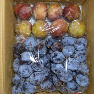 すももとプルーンの詰め合わせ