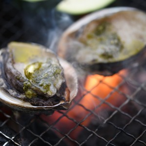 【夏ギフト】壱岐養殖アワビ12枚600g バーベキューにも※北海道沖縄発送不可