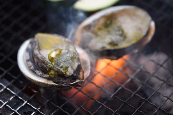 柔らか！壱岐養殖アワビ８枚約480g（1枚60g） ※北海道沖縄発送不可