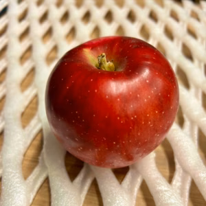 「紅玉」約3kg　訳アリ家庭用りんご　8玉～12玉