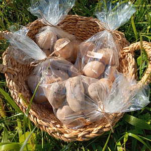 【訳アリ】嬉しい小サイズ！３種の自然栽培じゃがいも食べ比べセット（２キロ）