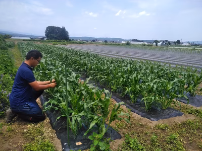 みんなの投稿の画像