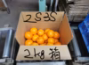 甘み濃縮　2S 3S小玉　みにくいアヒルの子みかん