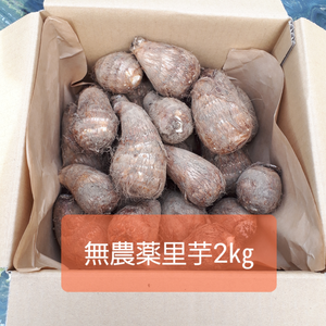 里芋2㎏　無農薬栽培