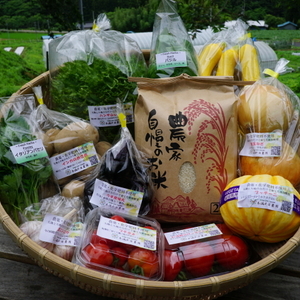 【夏ギフト・お中元・熨斗対応】10種の夏野菜とハーブとササニシキ(2㎏)のセット