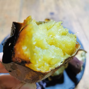 【訳あり】潮風 × 火山灰土が育てた熟成島さつまいも『紅はるか』