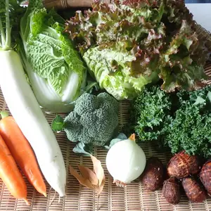 自然農法の野菜セット（2～4人用）
