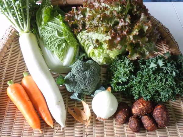 自然農法の野菜セット（2～4人用）