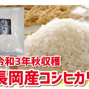 【９月１０日出荷開始】令和3年秋収穫予定　新潟県長岡産コシヒカリ　精白米５ｋｇ