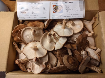 みんなの投稿の画像