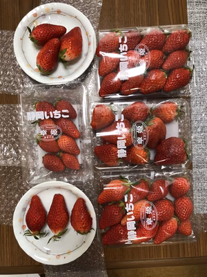 みんなの投稿の画像