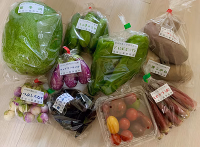 みんなの投稿の画像